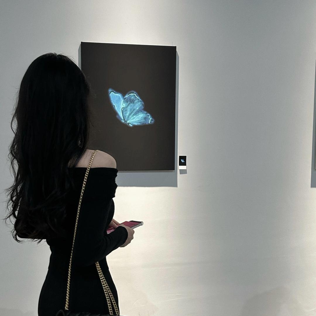会跑的鱼🐟