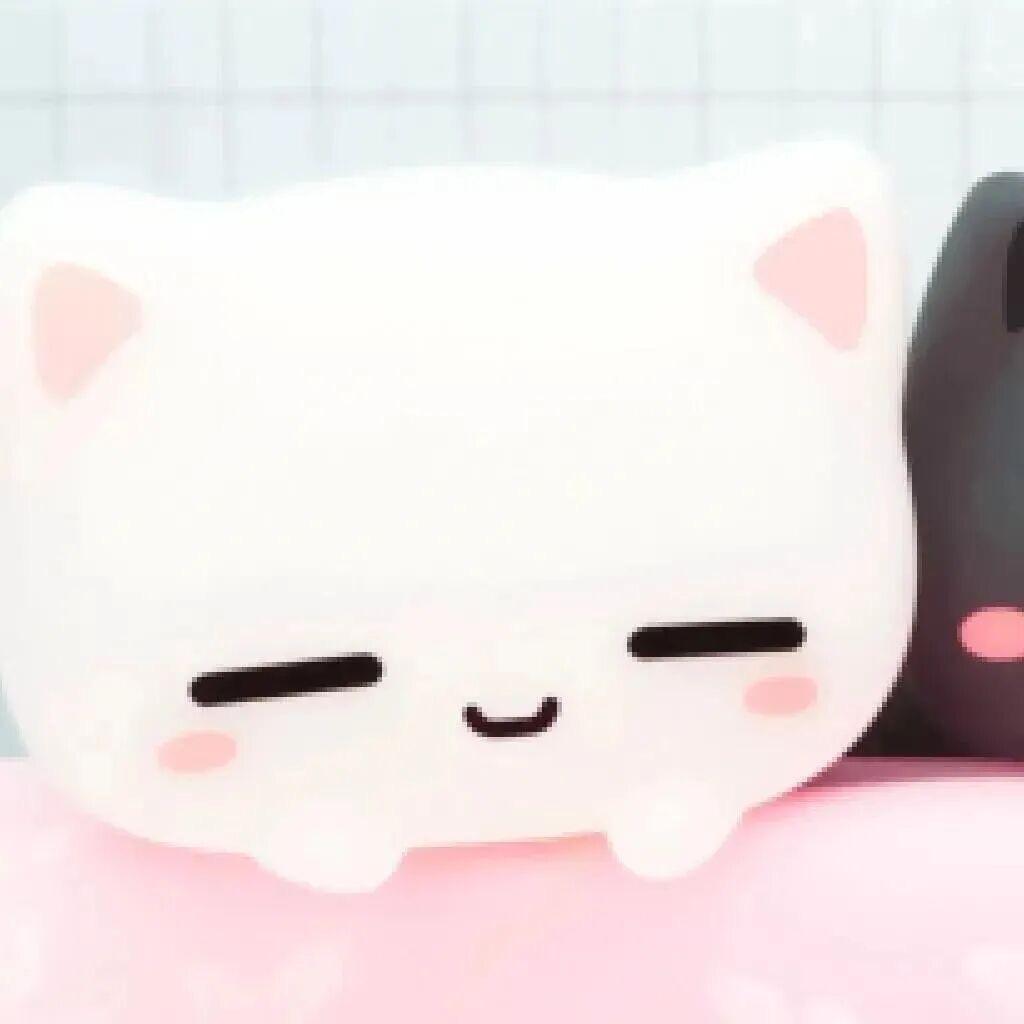 心愿卡片🧸