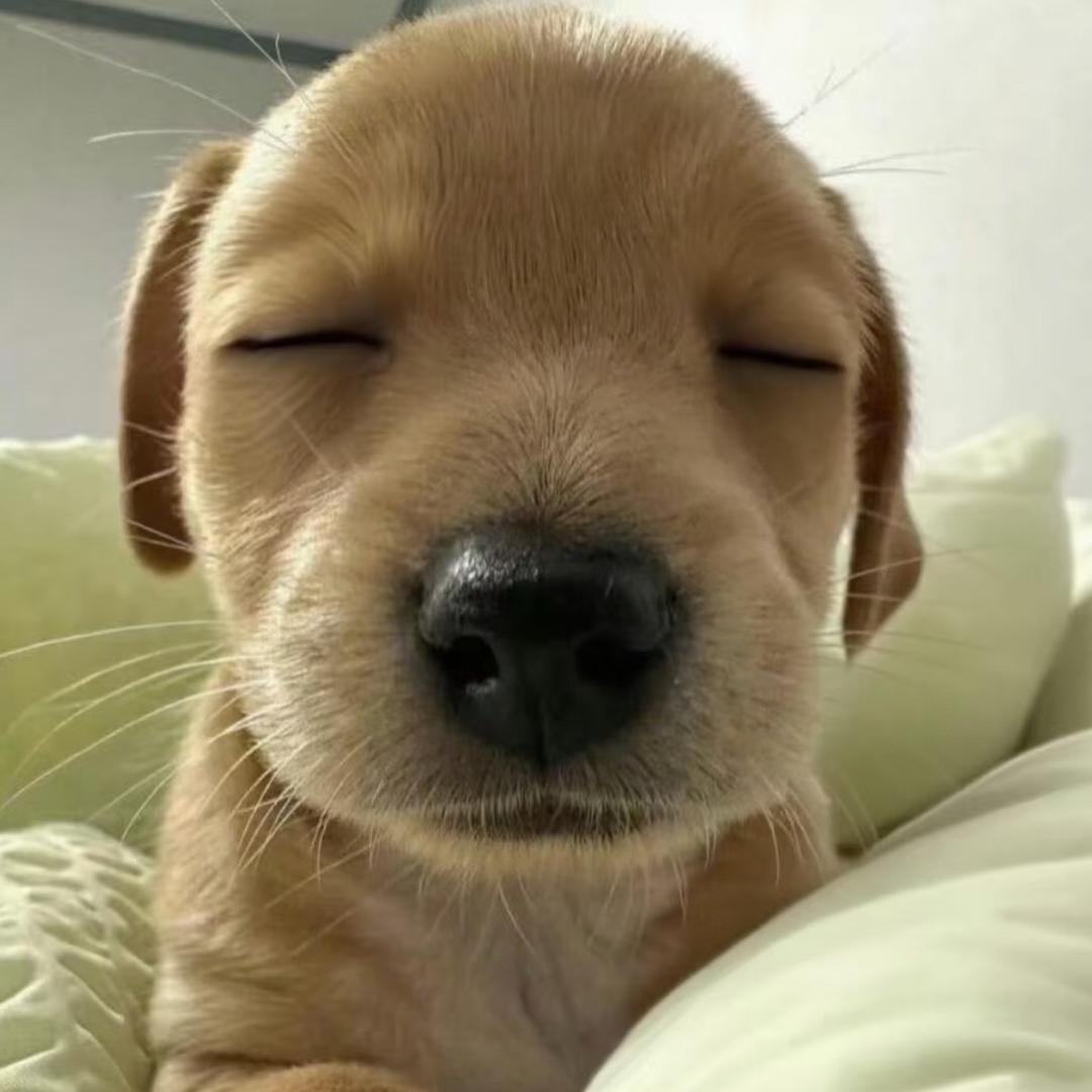 oxox