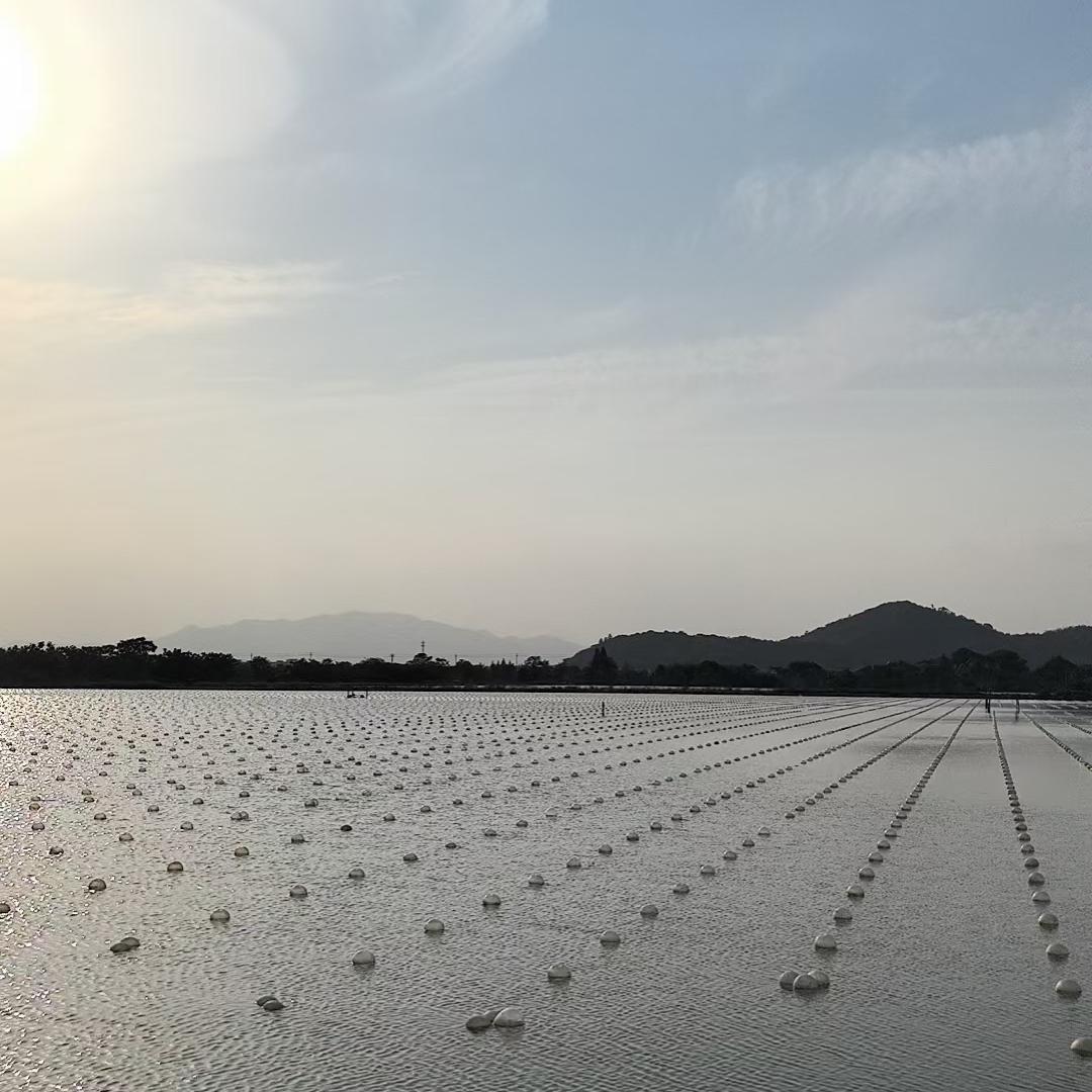 蔓儿珠宝源头供应链