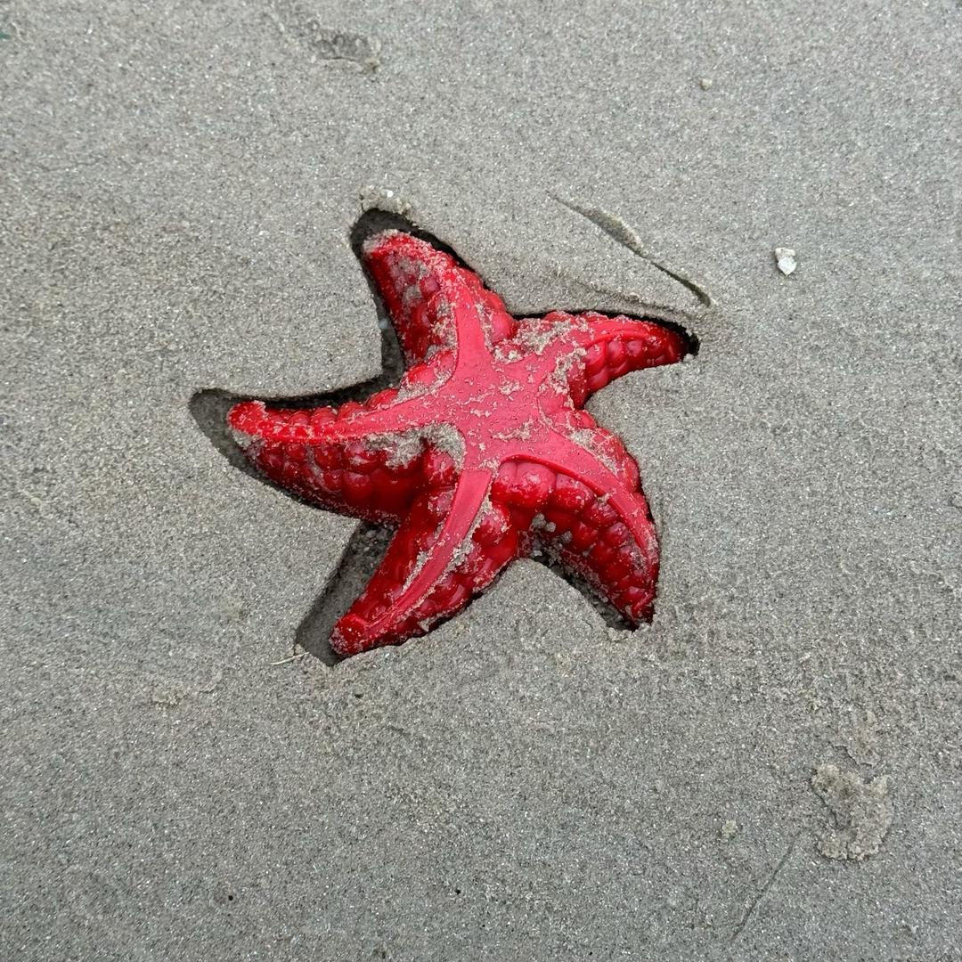 G G 棒（体育老师）