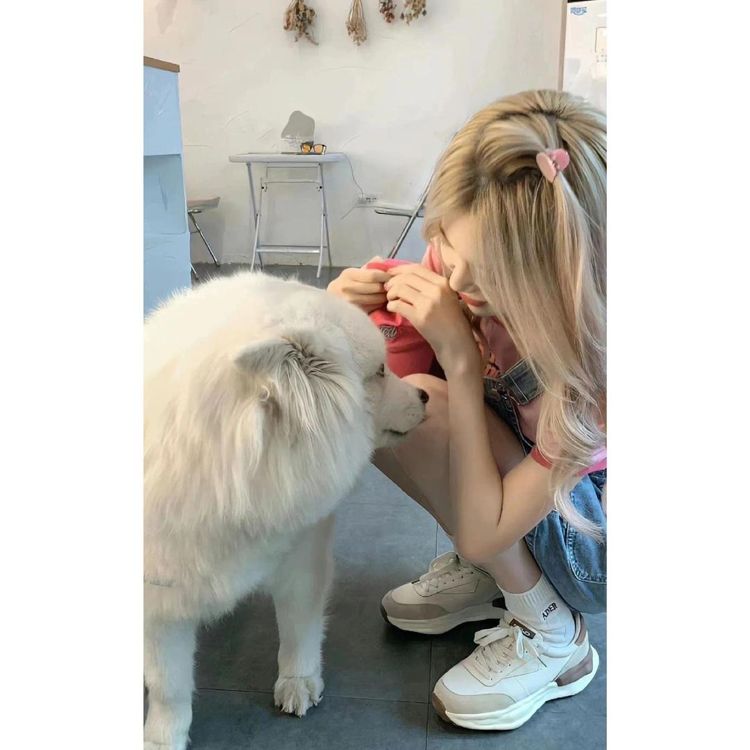 昀昀头像