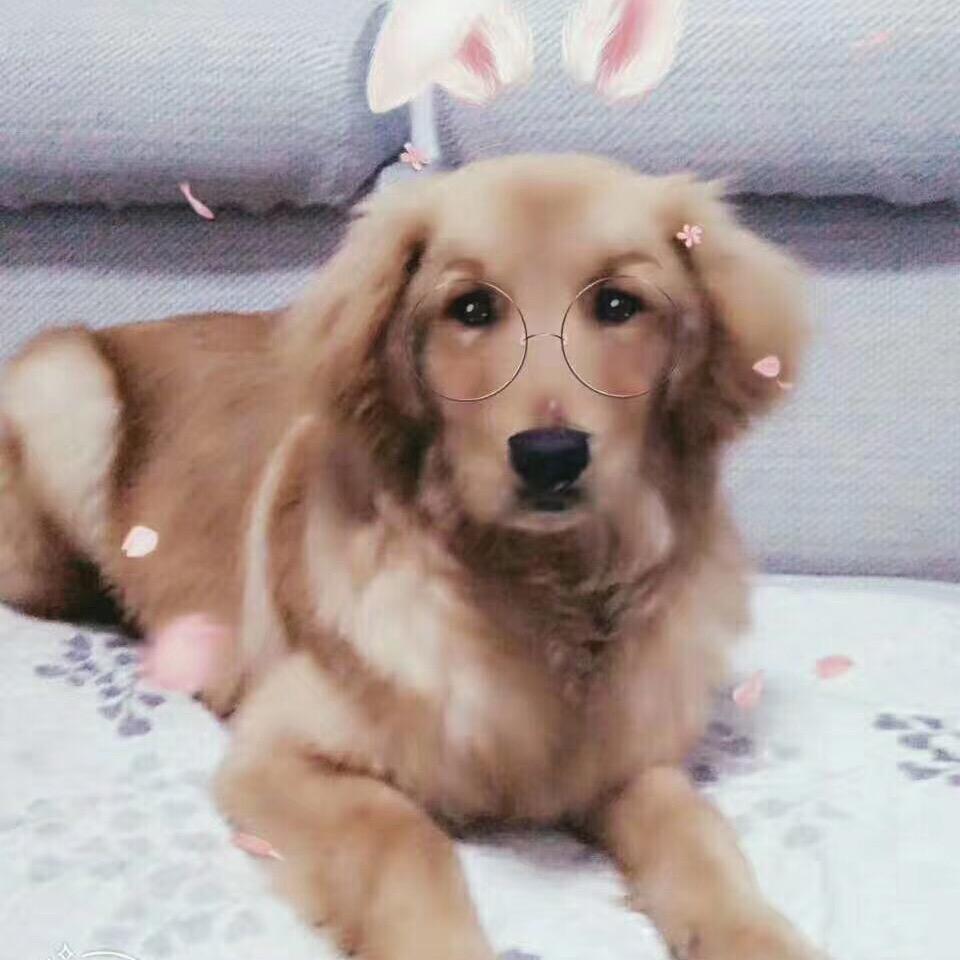 ◌ૢ ҉͜憨憨᭄࿐