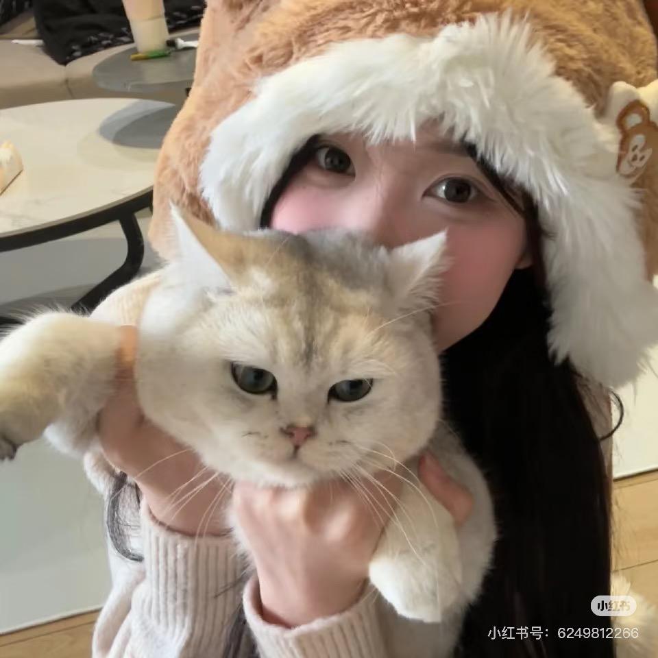 年糕