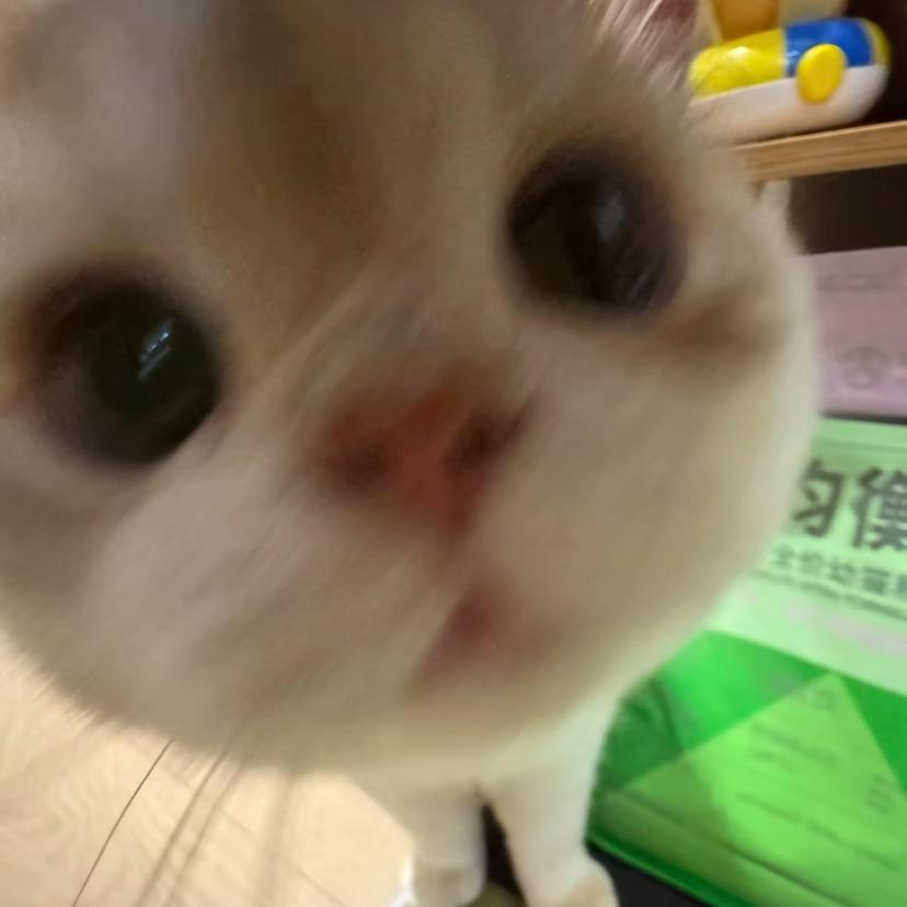 是阳不是羊