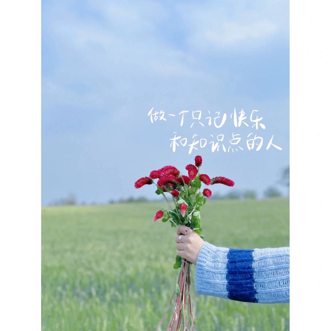 七七AA