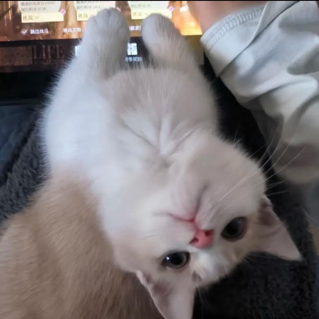 思
