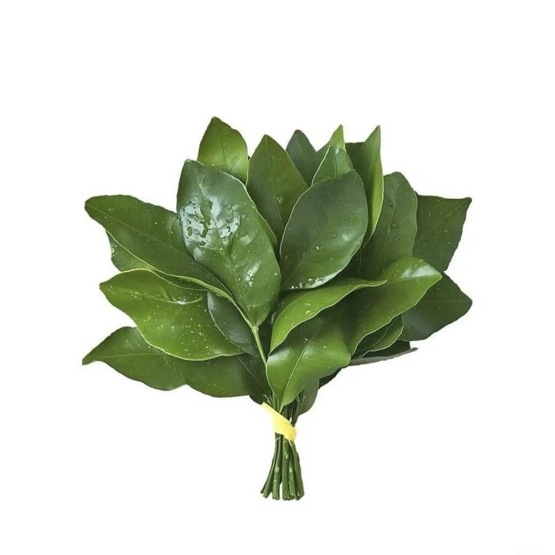 我这么漂亮抽象一点怎么了