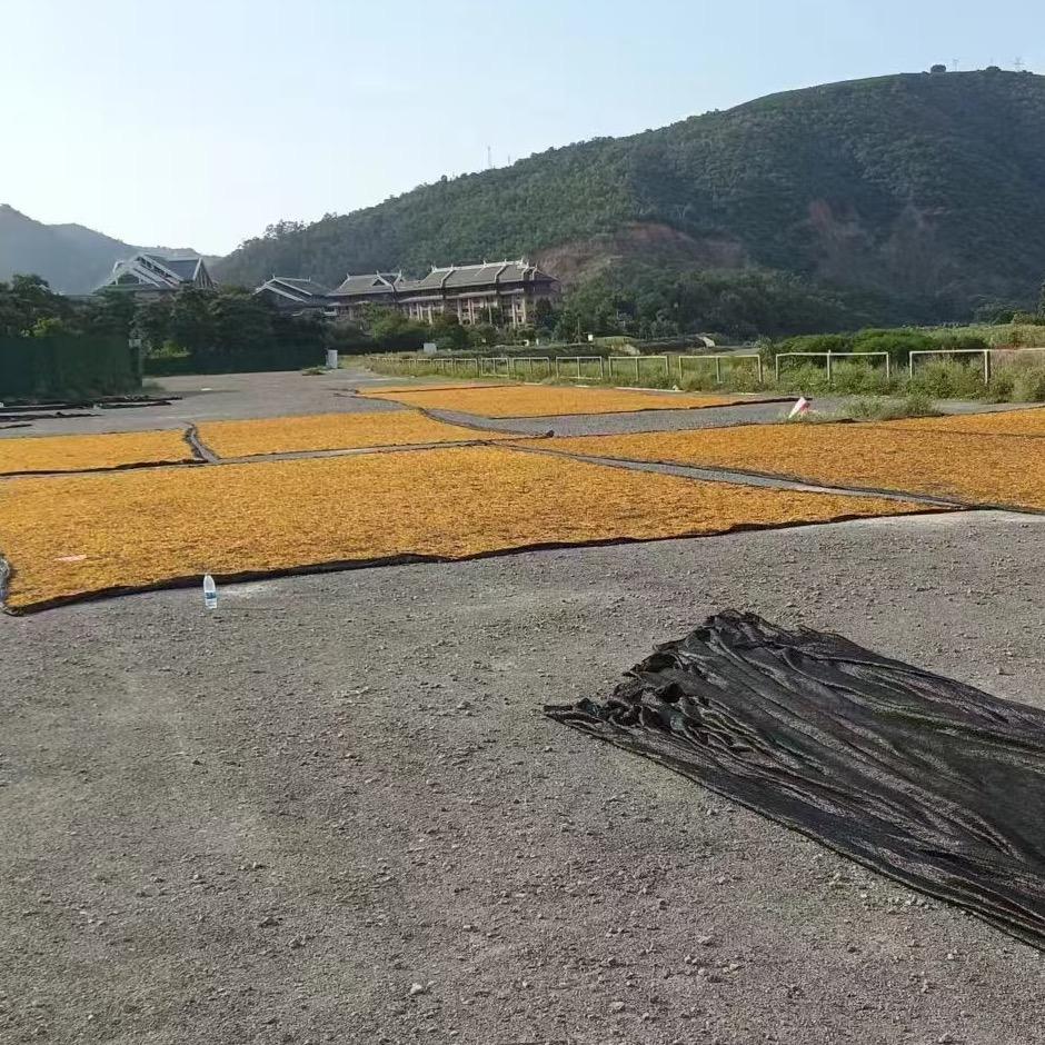 桂桂土特产
