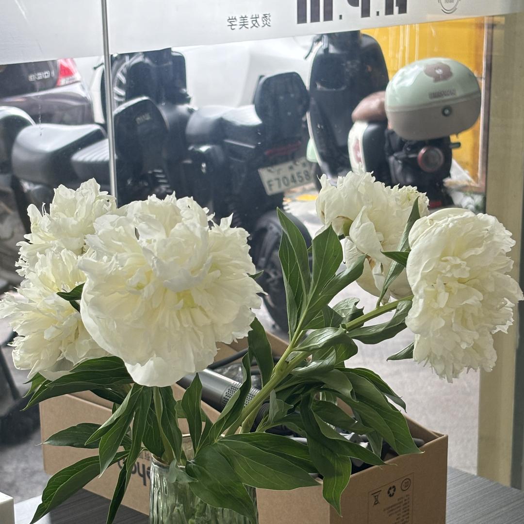 APM美学园
