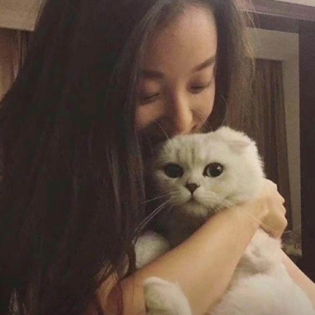 财源滚滚来