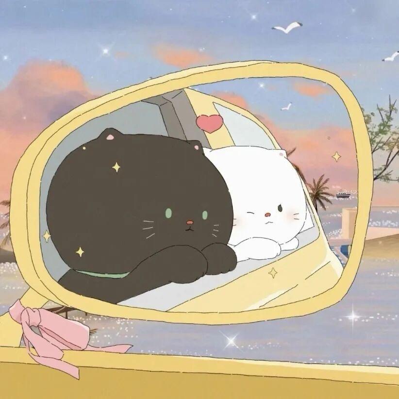 王忙忙