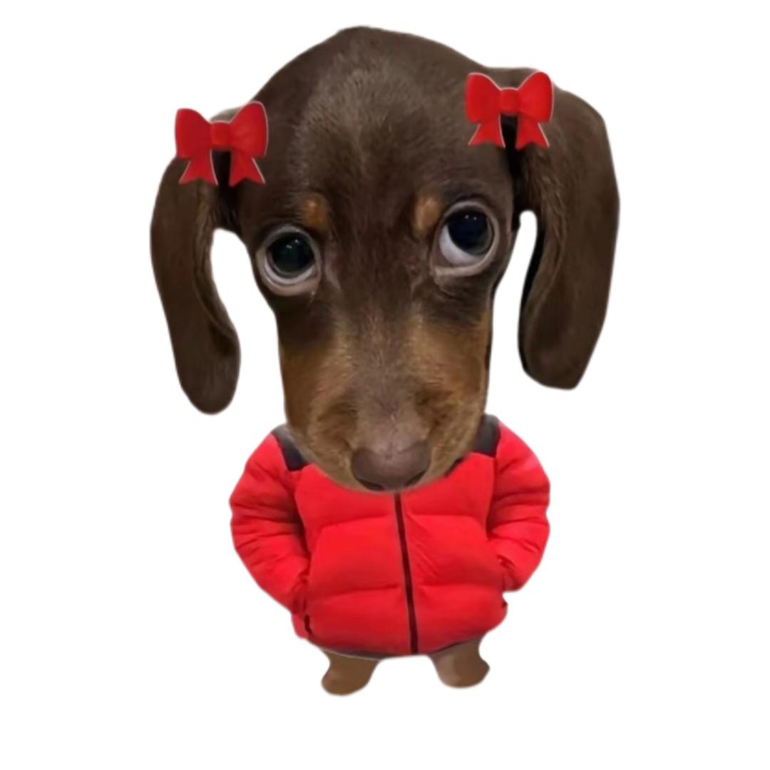 我爱睡觉Z☡zᶻ