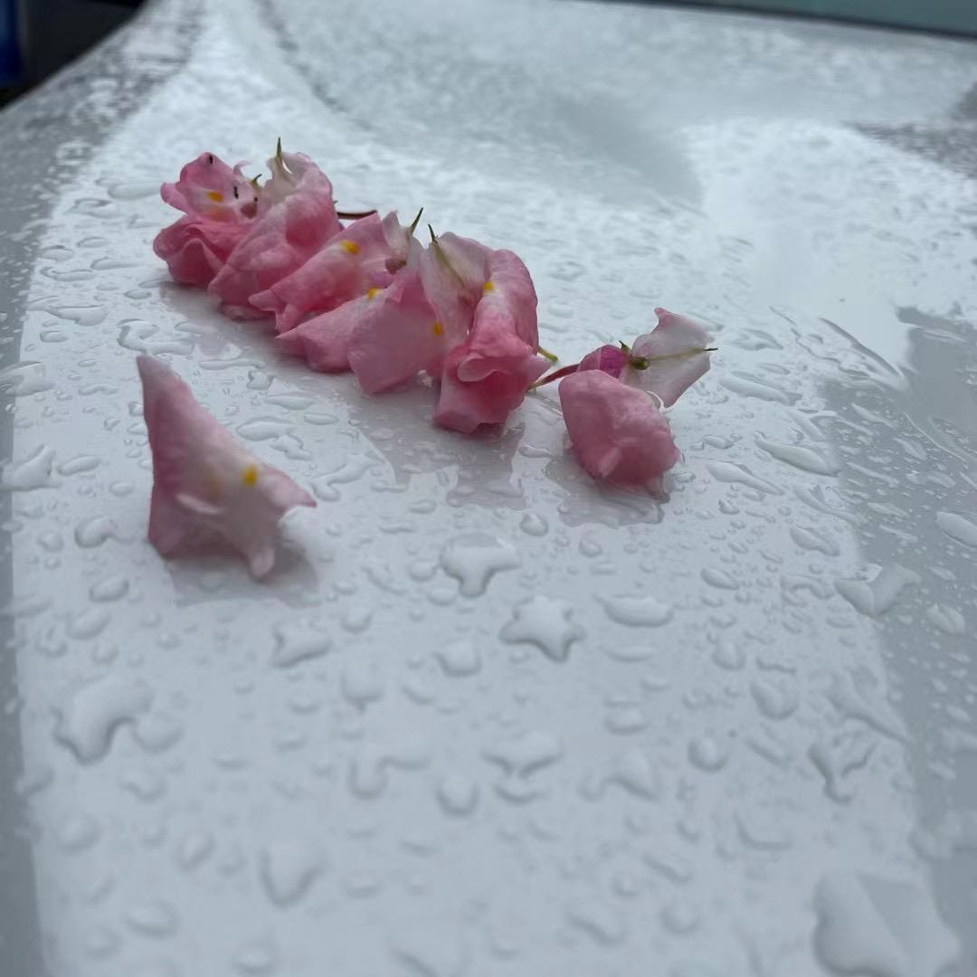 余生安好