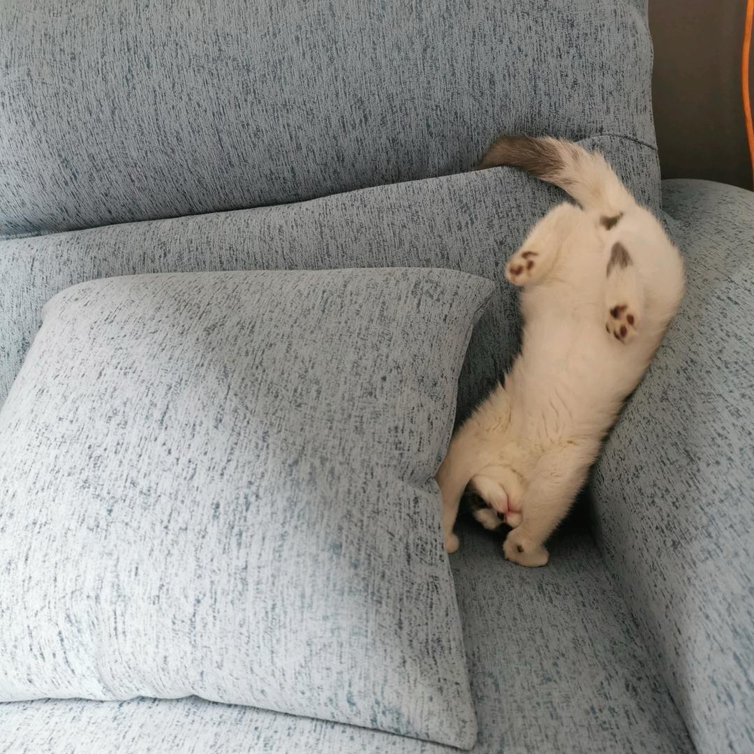 小杨～