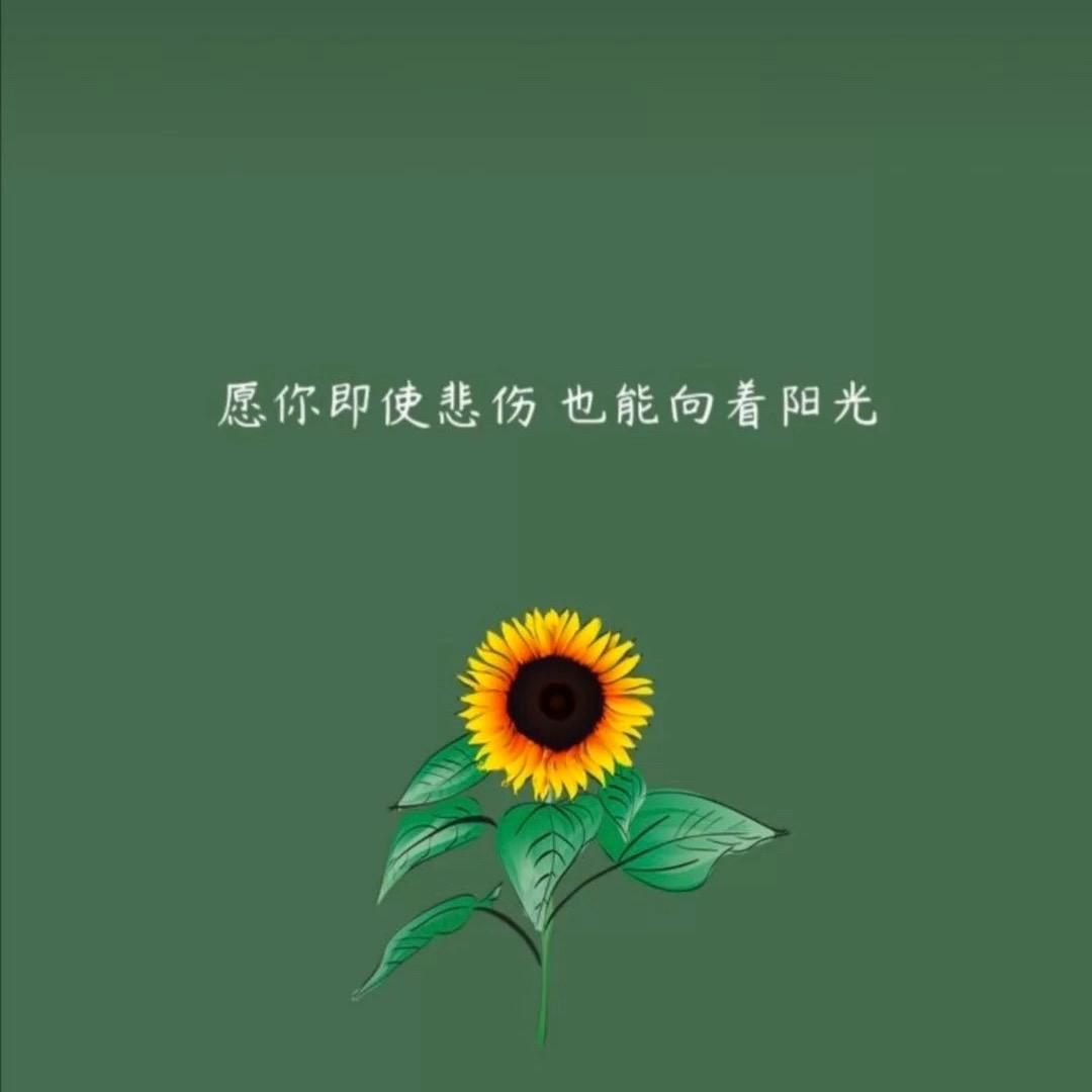 待到山花浪漫时🌸🌸🌸