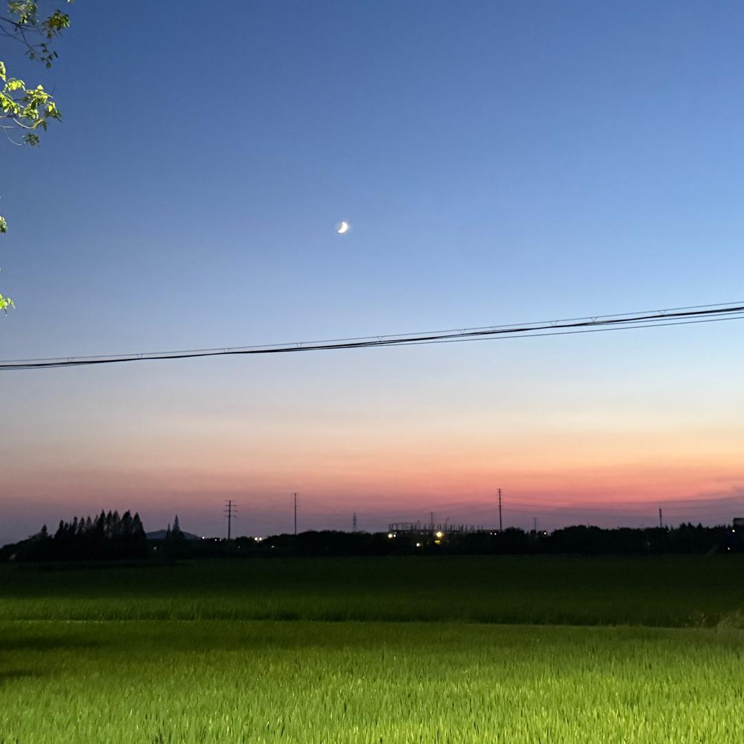 夜晚摸鱼（关注我的男的发不了财）