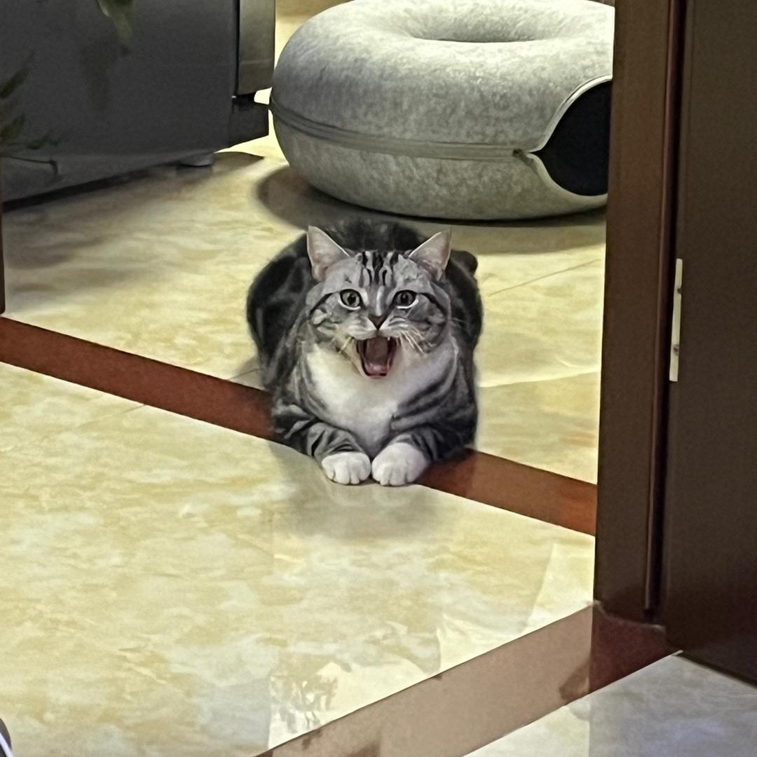 释然