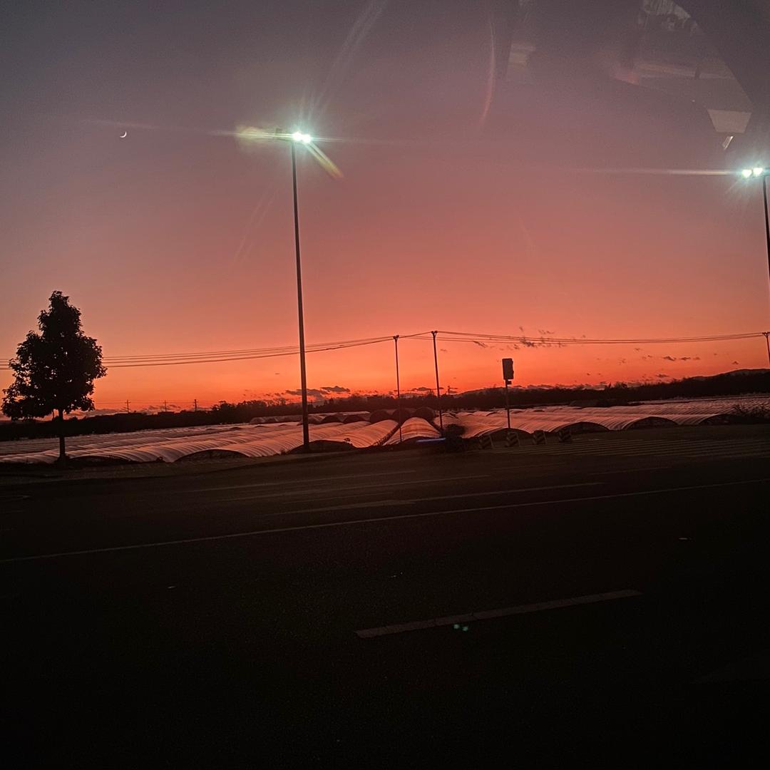 ℳ꧔ꦿ余生♡有你꧔ꦿ᭄ℳ