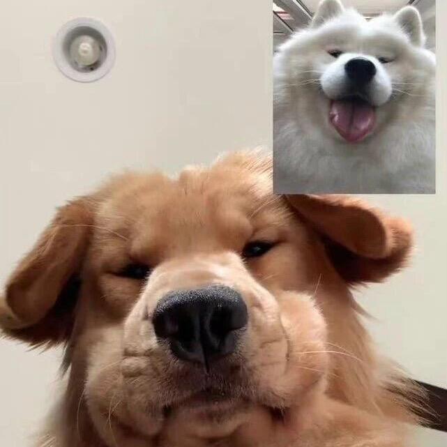 uU