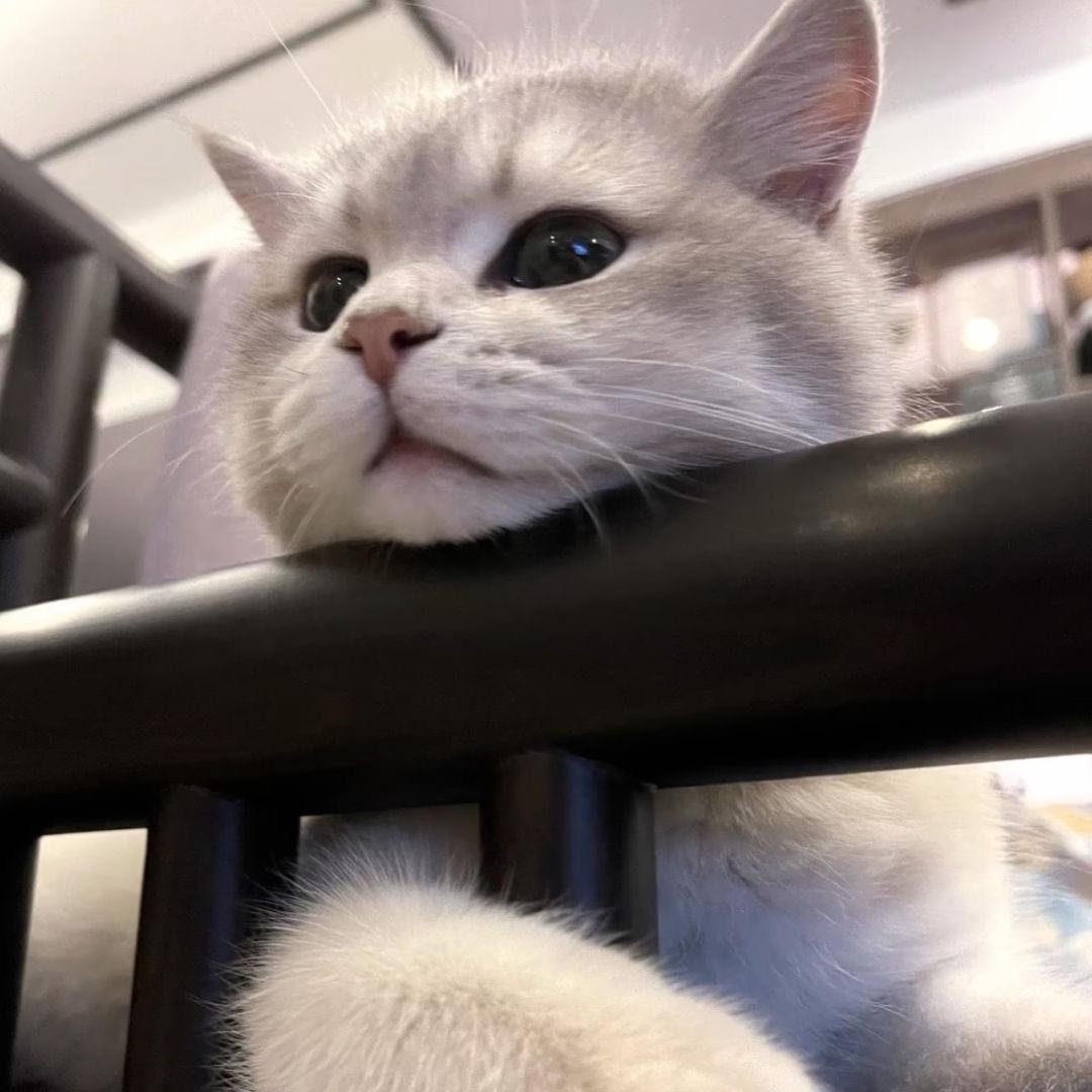 M0