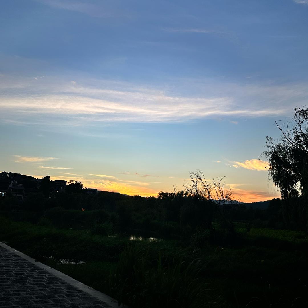 是小赵吖🌼