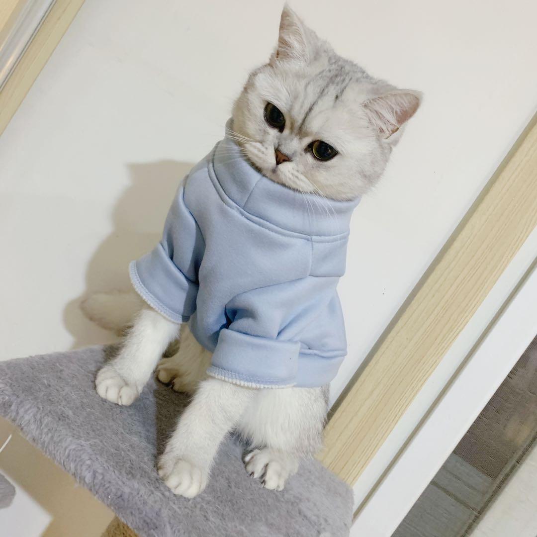 张文尼