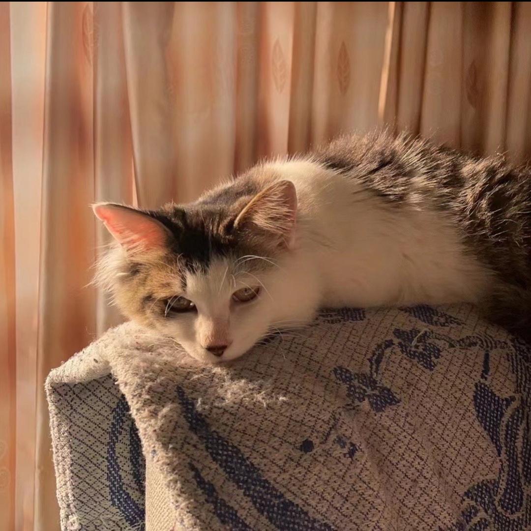 怪老师📷(求涨粉版)