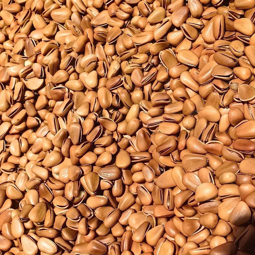 雷以荣的一千零一夜好物铺子