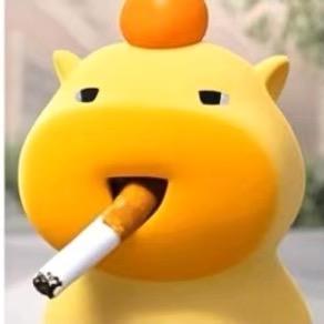 🪳