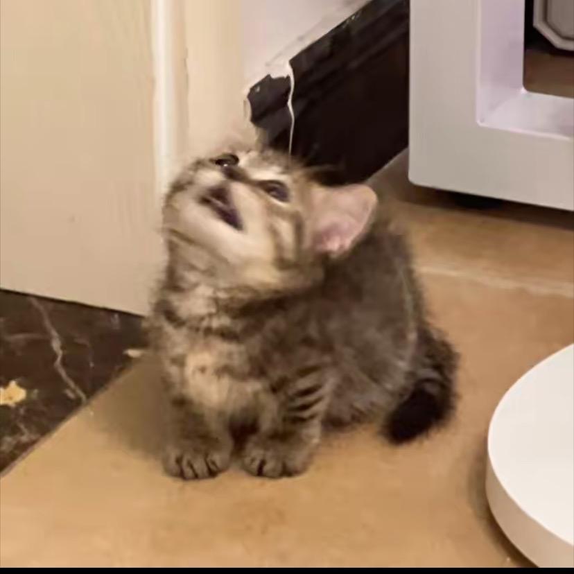 萌咔便利店sdasgfjdhsfgfhgfc推广号