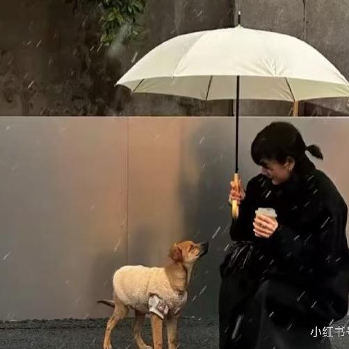 蜜糖