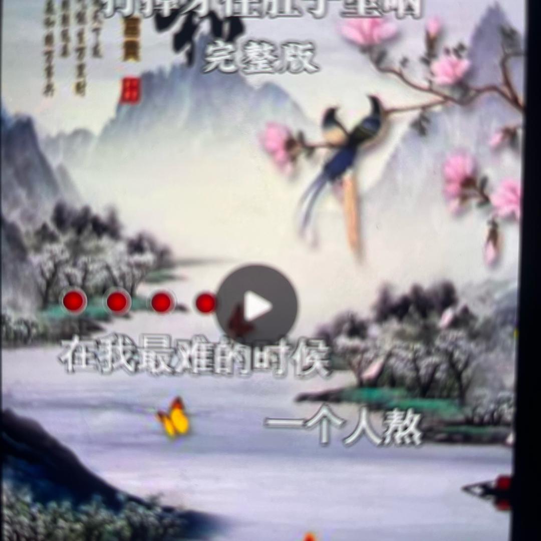 红哥🐅🐅🐅🐅🐅🐅