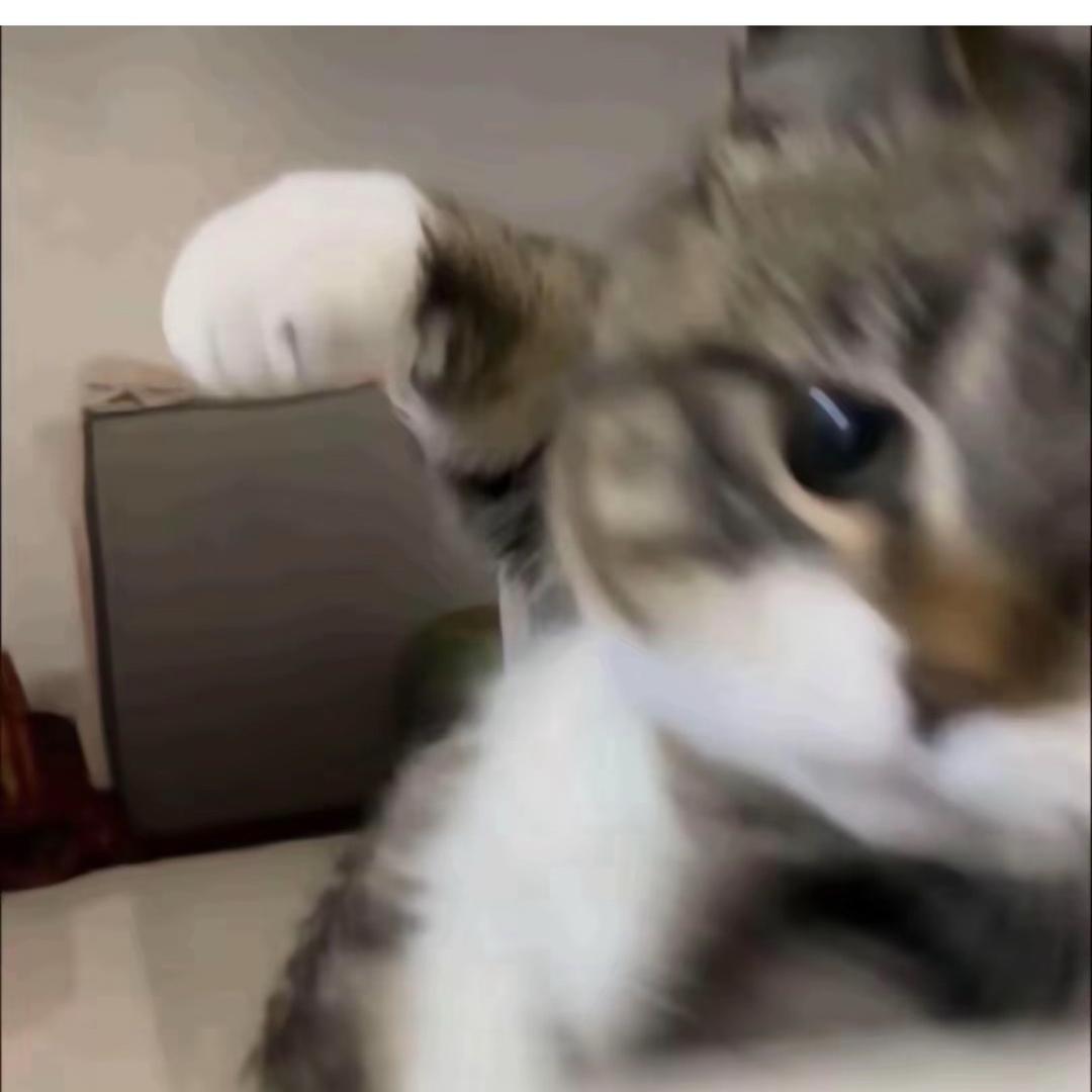 啊蓝