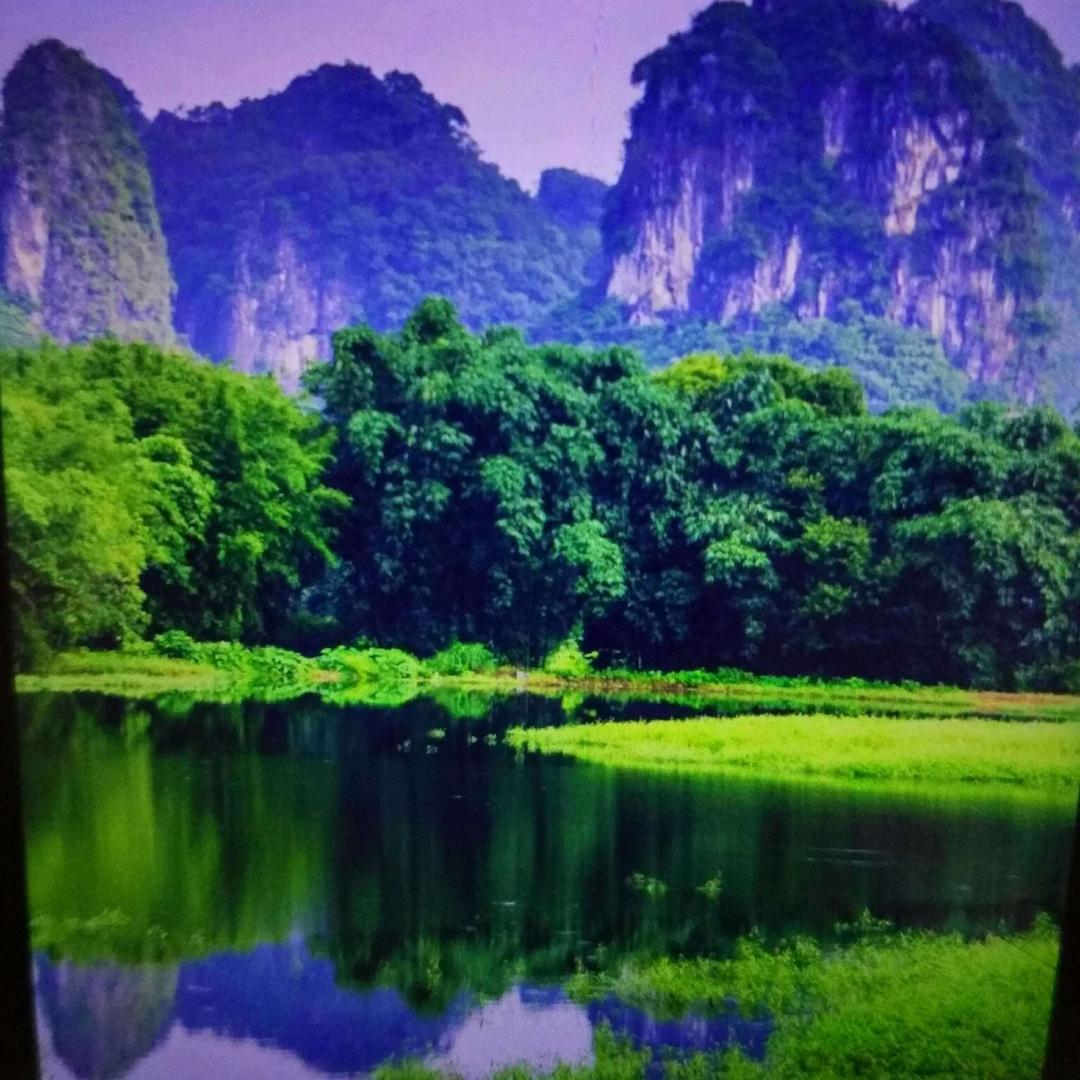 小喵喵喵哈