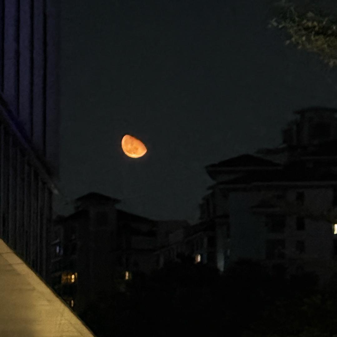 江城月梦