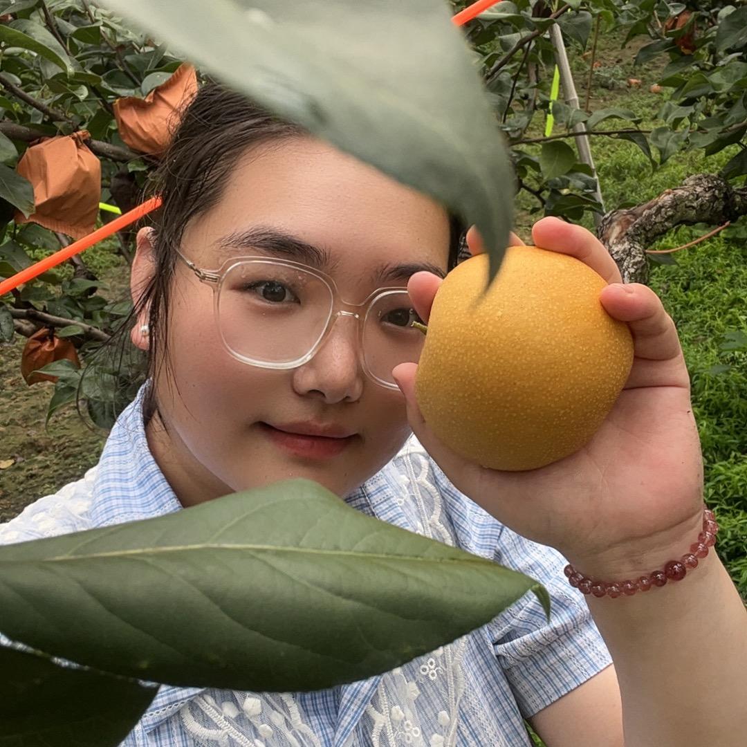 奶奶爷爷的果园