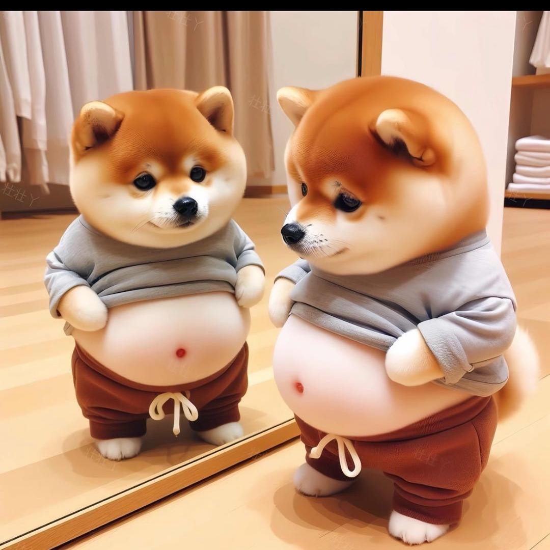 H花好月圆
