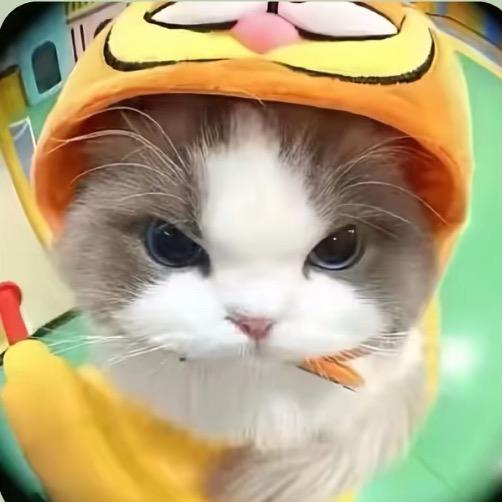 醉心
