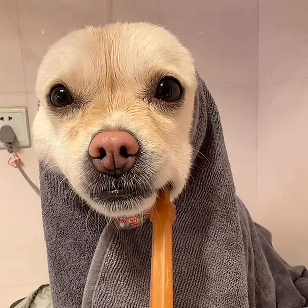 小西来啦