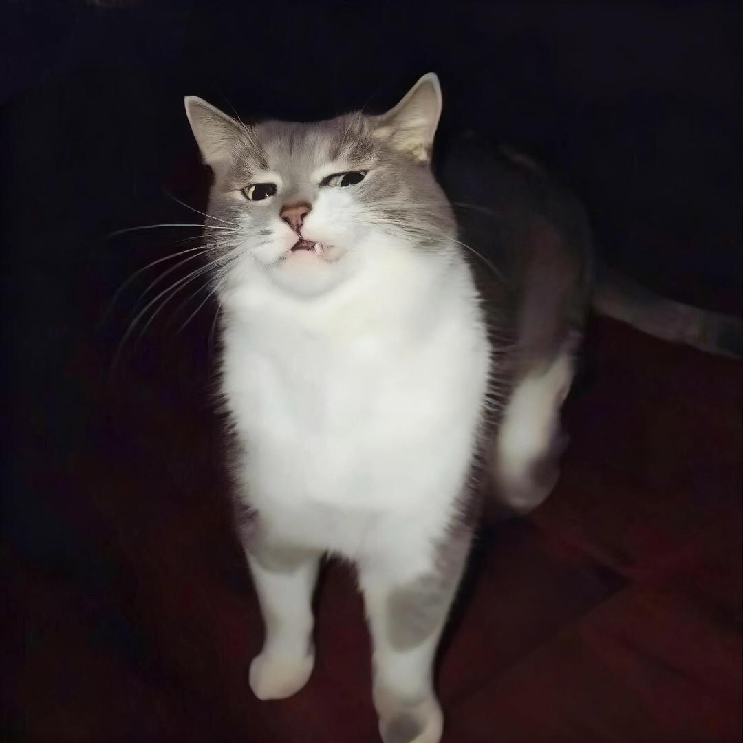 Gnaw_AijOah