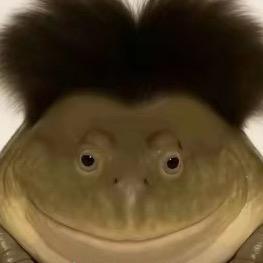 吃不到天鹅肉的癞蛤蟆🐸