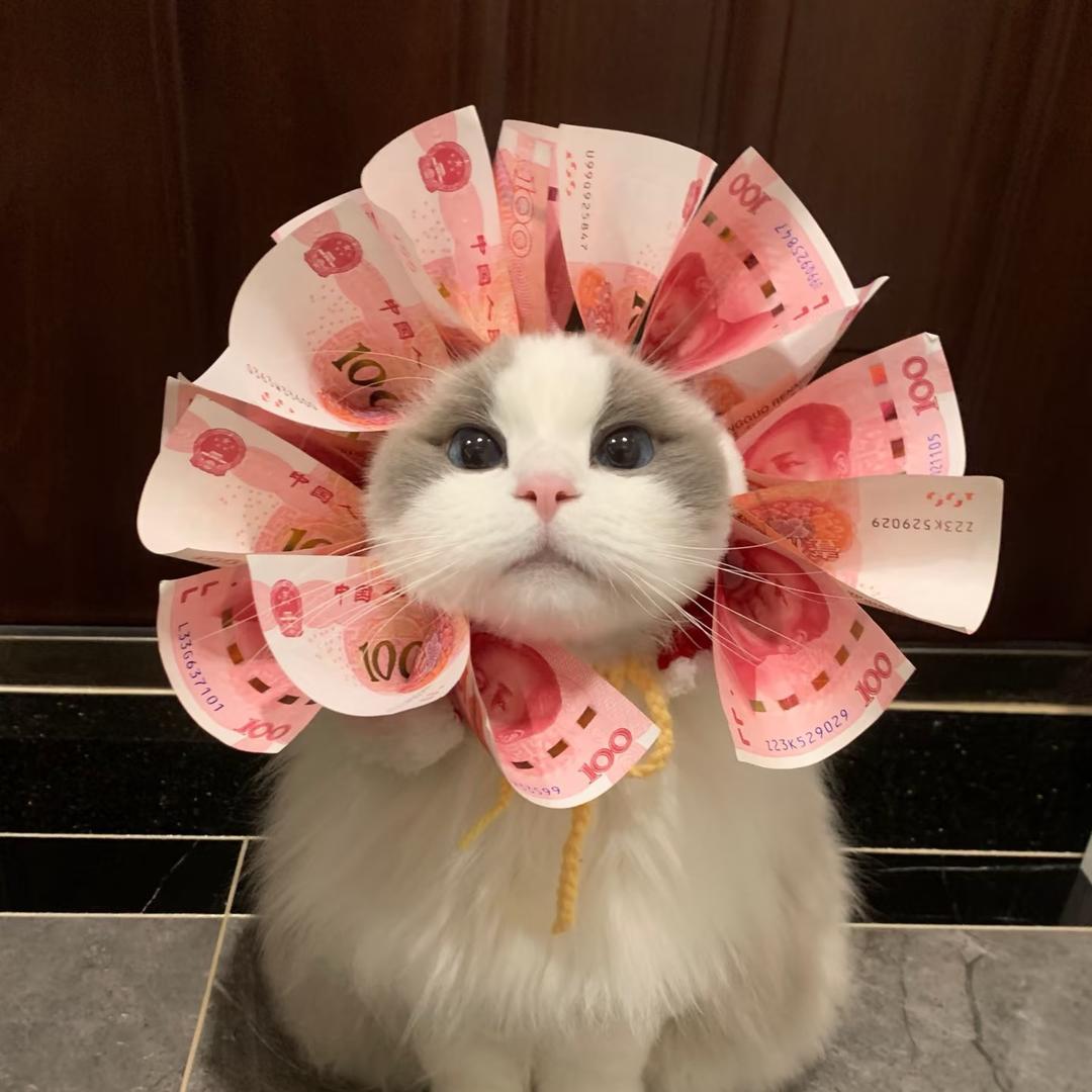 禹霖是辣妹