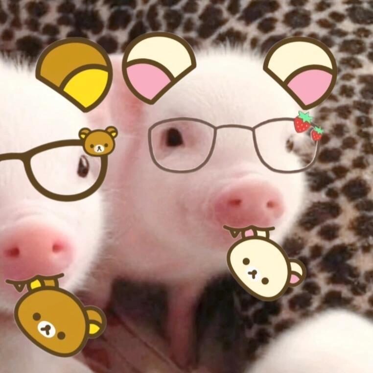 猪肉批发商康老板