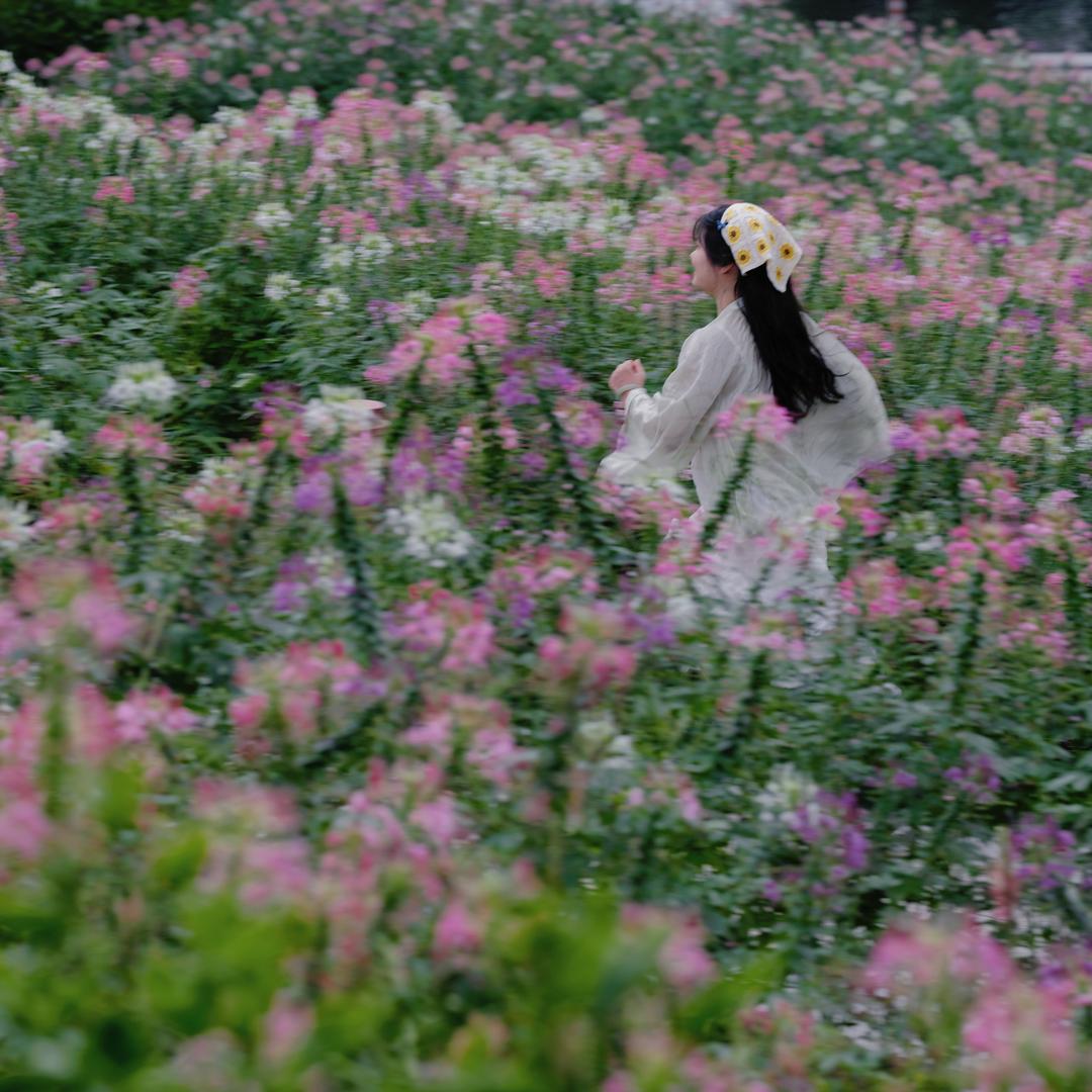 子墨柒（见过十勤版）