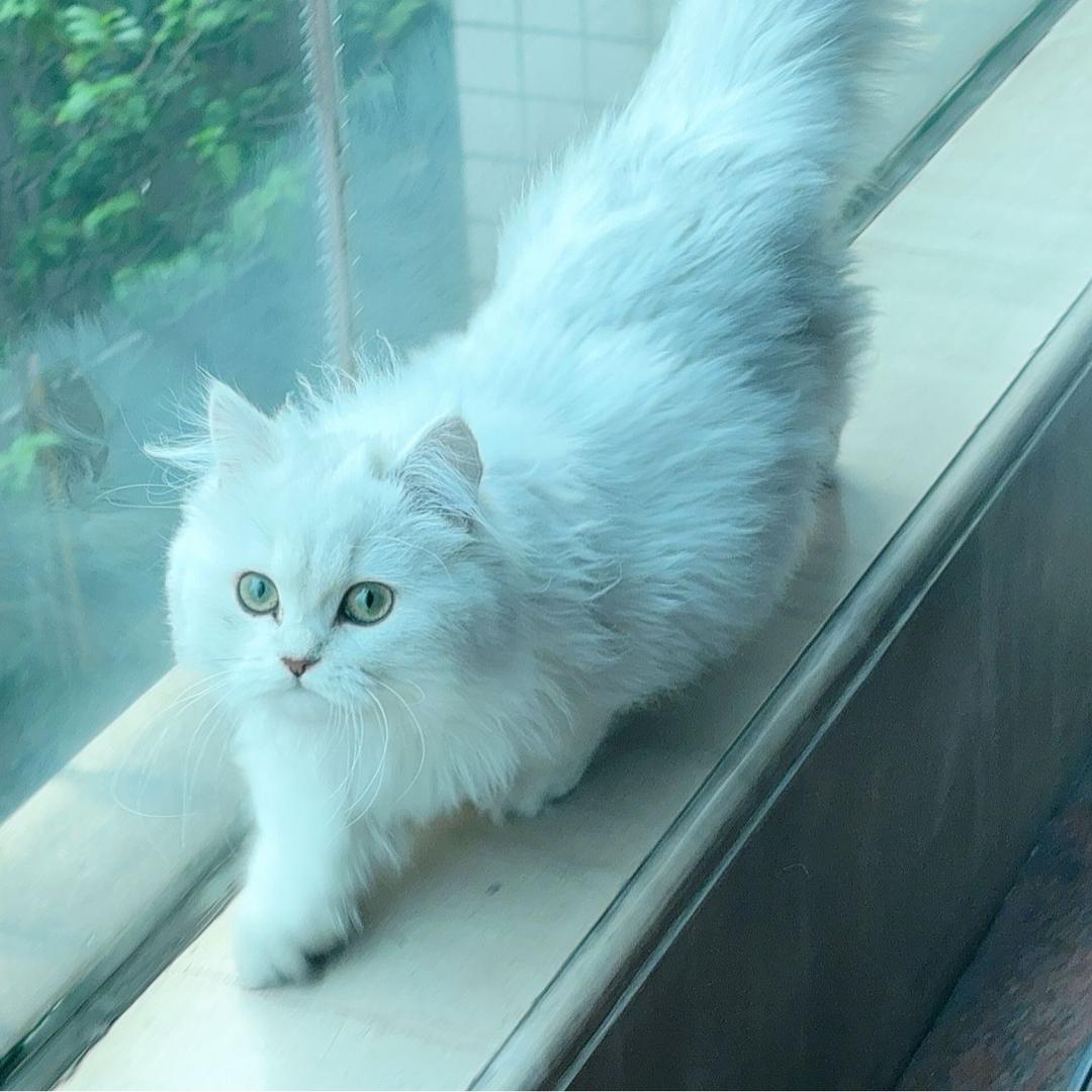 铭幸杂货铺