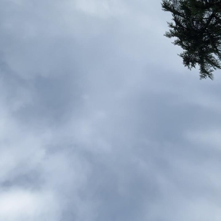 Hdfhbb