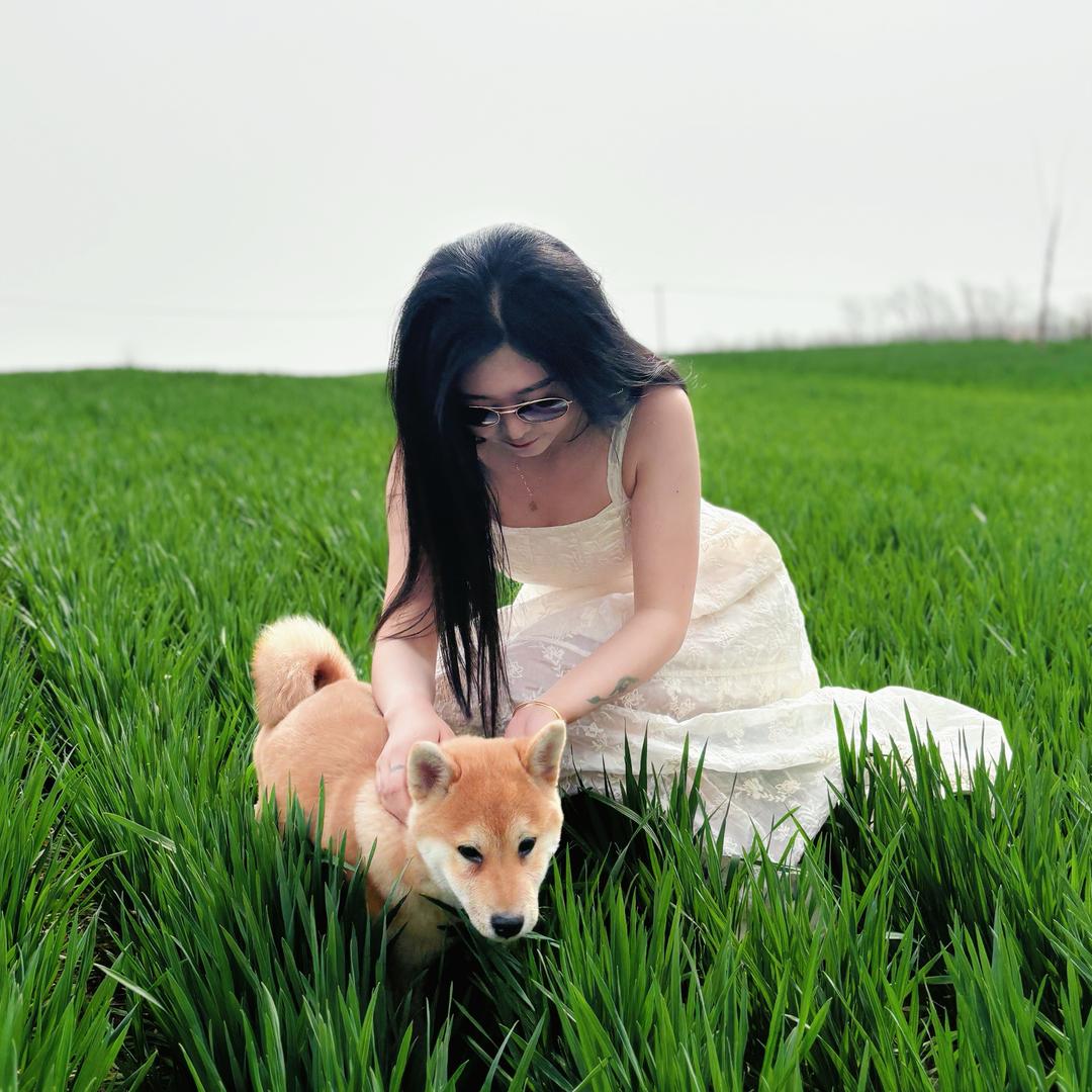 怀集金牌智顶天花