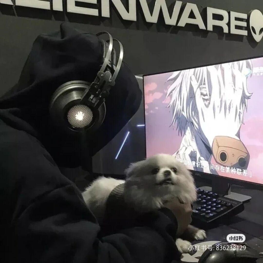 蓝风OvO
