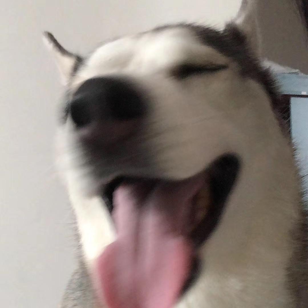 拉萨经开区渔悦冷锅鱼